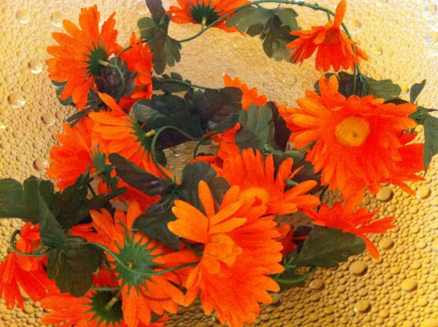 PEP bloem
